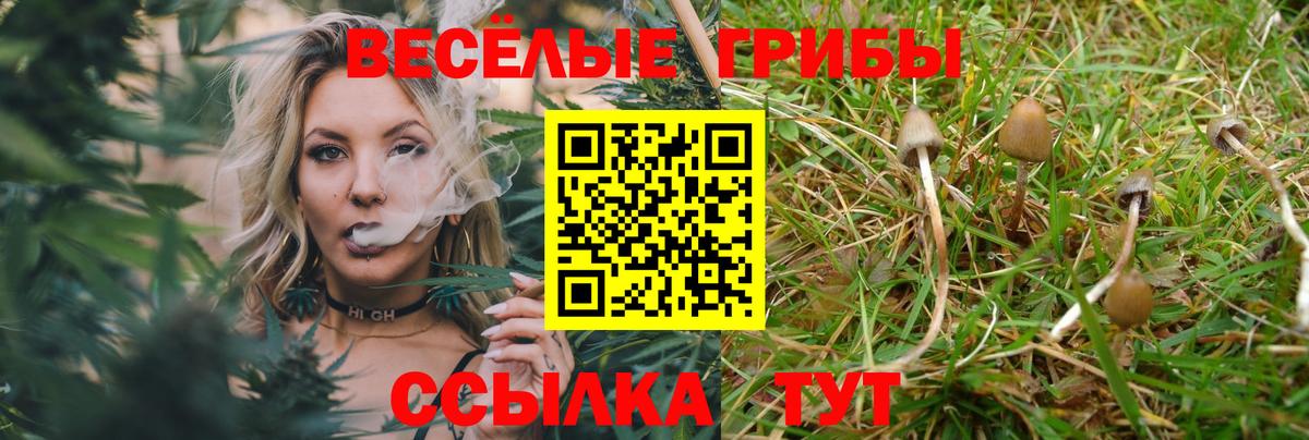 Галлюциногенные грибы мицелий Усть-Кут